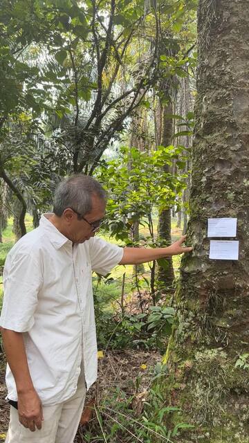 Expert verifies the tagged palm